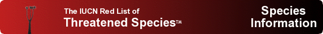 IUCN Red List of Threatened Species:  Ailuropoda melanoleuca
